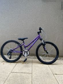 Ridgeback Destiny Bike