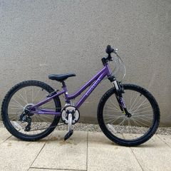 Ridgeback Destiny Bike