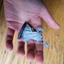 Games Workshop Warhammer Age of Sigmar Slaves Tzarketh Bane of Law to Darkness Image 2