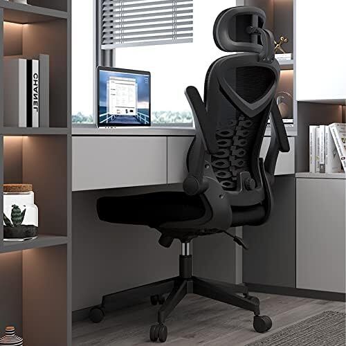 Ergonomic Office Chair Computer Chair with Adjustable Headrest/Lumbar Support, High Back 3D Armrests Home Mesh Chair (Black)
