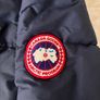 canada goose Image 3