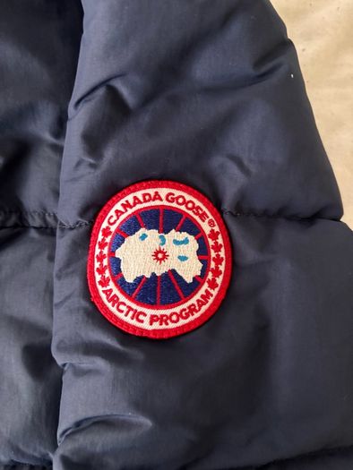 canada goose