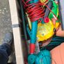 bosch Strimmer Image 3