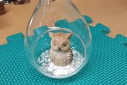 Owl ornament in glass container