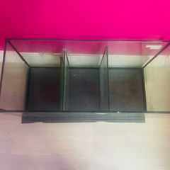 Fish tank sump