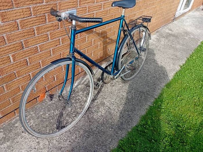 adults  bike
