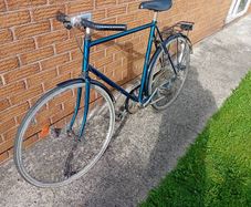 adults  bike