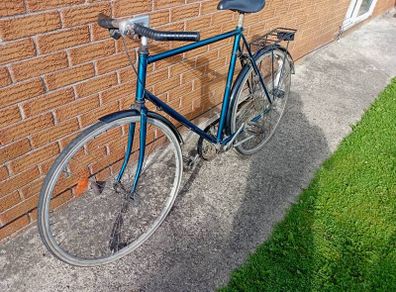 adults  bike
