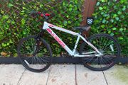 Team MX-26 Mountain Bike