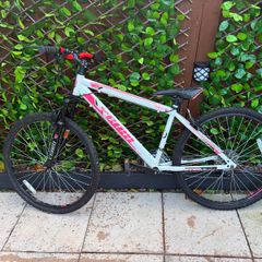 Team MX-26 Mountain Bike