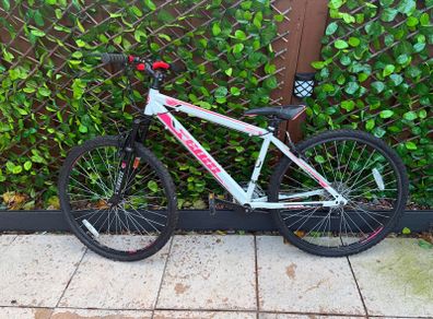 Team MX-26 Mountain Bike