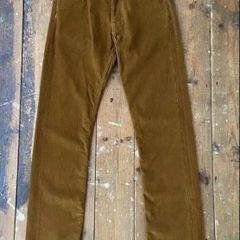 Patagonia Cords BNWT