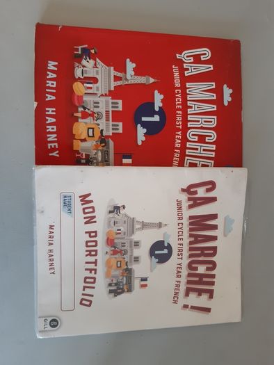 Various Junior Cert Books.