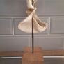 Shark Jaw on Stand Image 4