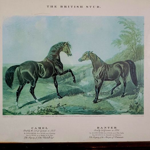 Antique oak framed trio of "The British Stud" prints