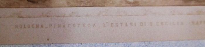 Victorian Photograph Album Photo Card Album  Antique Cabinet Card Photographs Photos ITALIA 21 Page 42 Photos