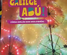 Junior Cert Irish Gaeilge Abu 3
