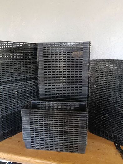 Plastic Garden Trays