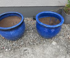 Two large Flower pots