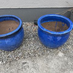 Two large Flower pots