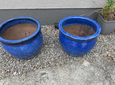 Two large Flower pots