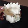 vase Image 2