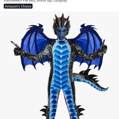 dragon costume