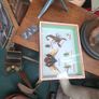 Vintage Taxidermy Image 5