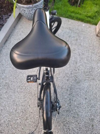 Electric bike  fiido D2S