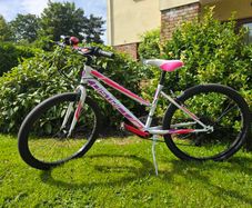MBM District 24-inch girls' mountain bike
