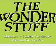 The Wonderstuff 40th Anniversary Tour Gig