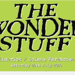 The Wonderstuff 40th Anniversary Tour Gig