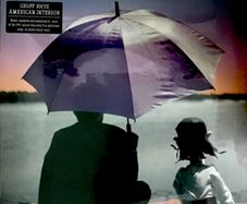 Gruff Rhys American interior 2lp reissue