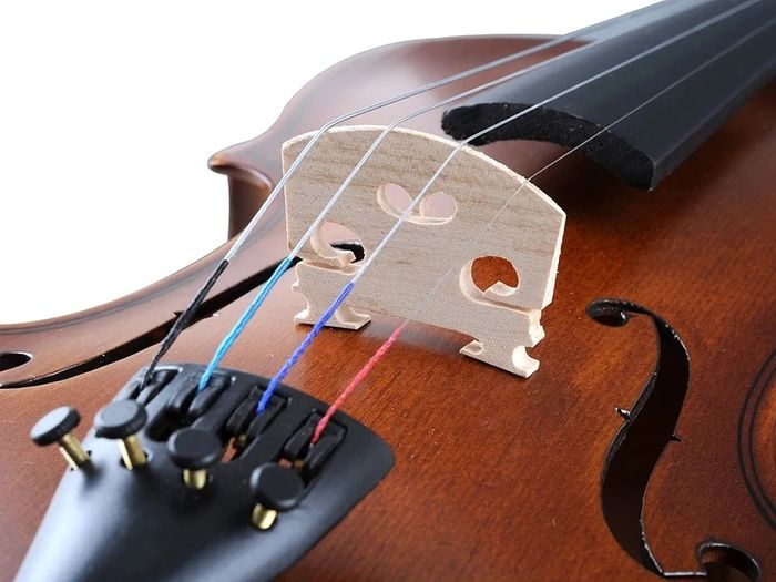 Violin 4/4 Full Size for Beginners with Fingerboard Sticker, User Manual, Hard Case, Bow, Rosin, Bridge, and Polishing Cloth
