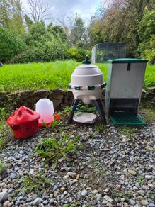 Chicken feeders and drinker