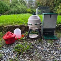 Chicken feeders and drinker