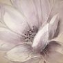 Canvas Picture Image 3