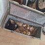 World War 2 Ammo box Image 4