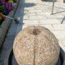 garden fountain Image 5