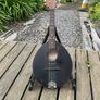 flatiron mandolin Image 3
