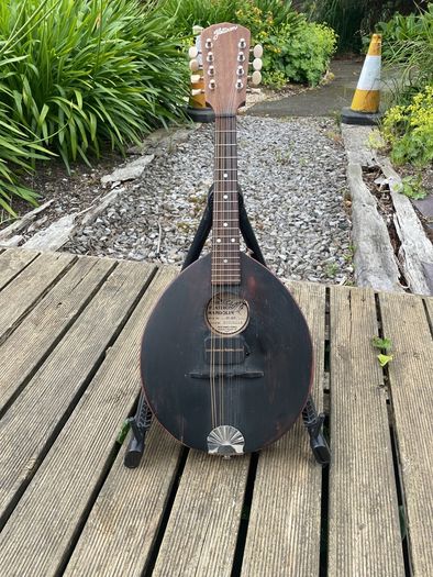 flatiron mandolin