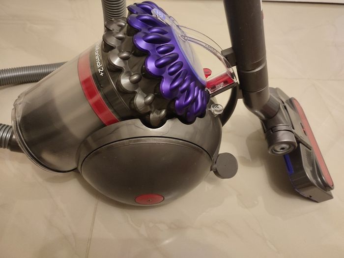 Dyson big ball animal 2