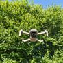 Dji Mavic Mini Combo Image 9