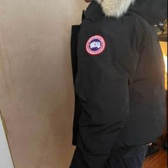 Canada goose