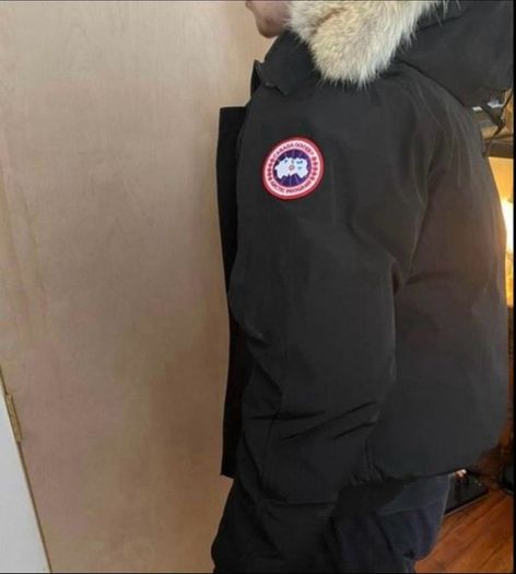 Canada goose