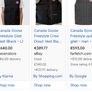 Canada goose Image 6