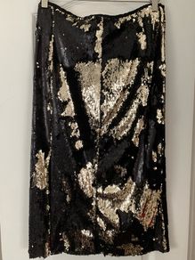 ZARA sequin skirt