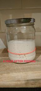 Live Sourdough Bread Starter
