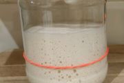 Live Sourdough Bread Starter