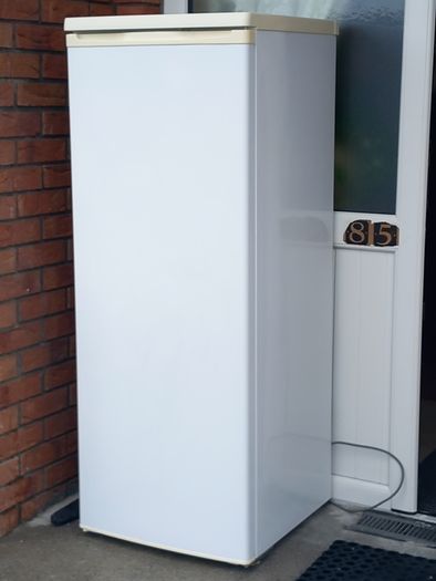 Fridge